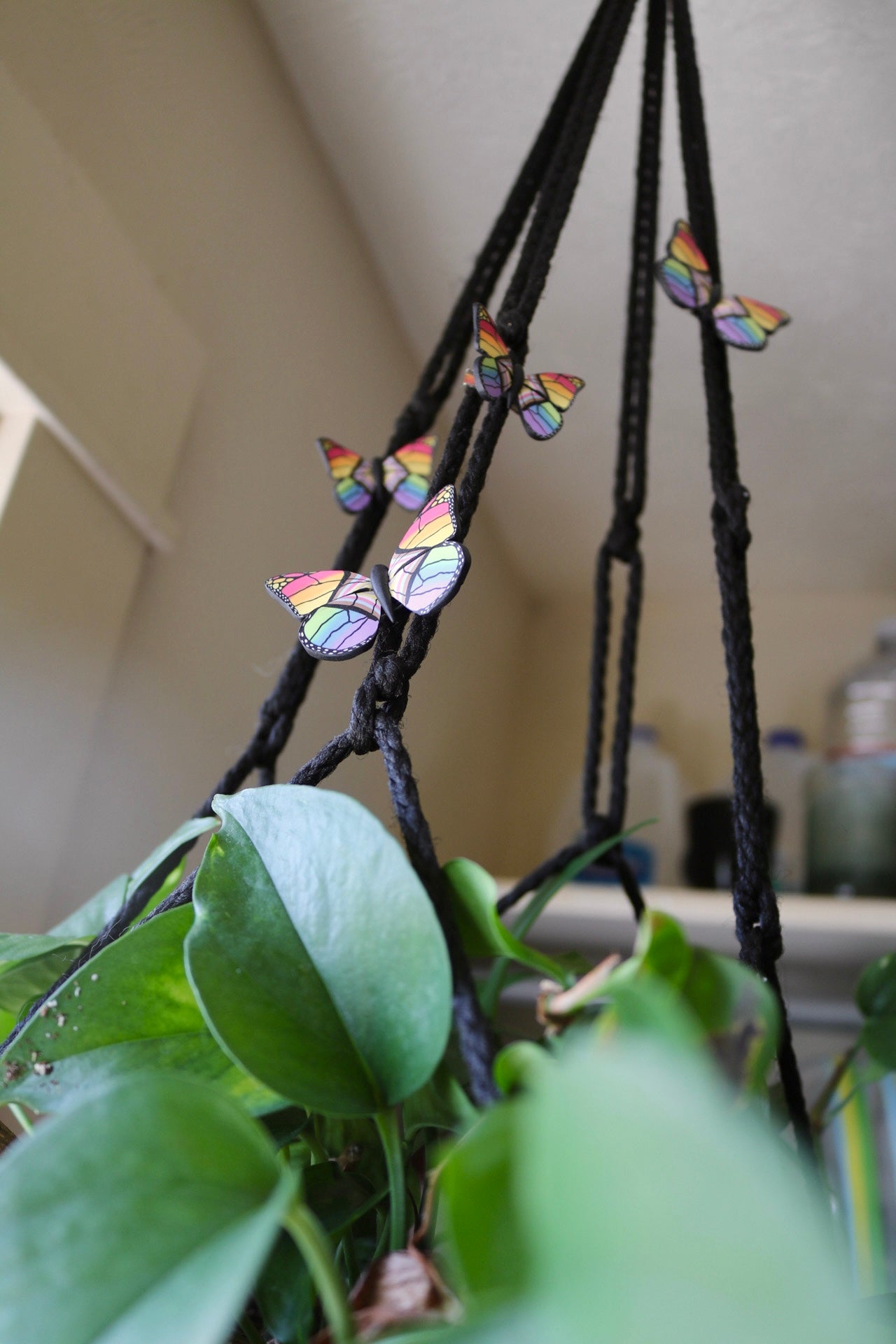 Pride Flag Butterfly Clips - TWO SIZES!