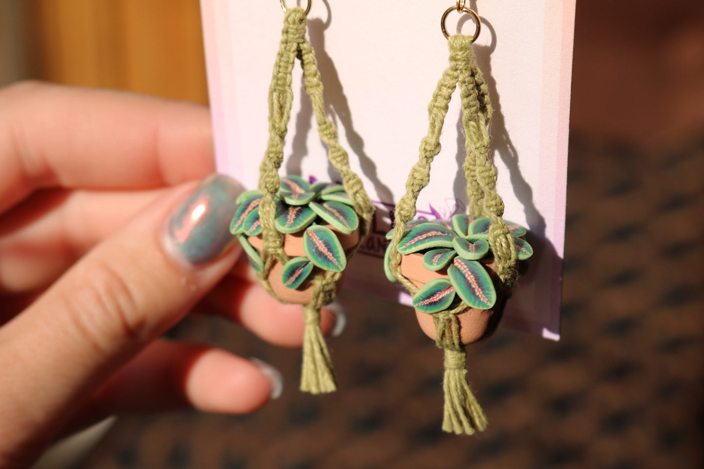 Prayer Plants With Spiral Macrame Hangers
