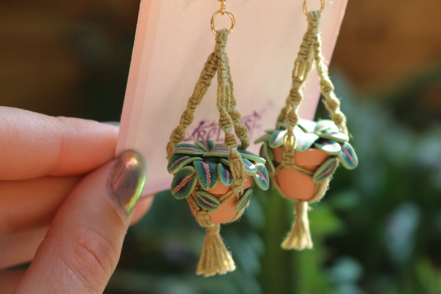 Prayer Plants With Spiral Macrame Hangers
