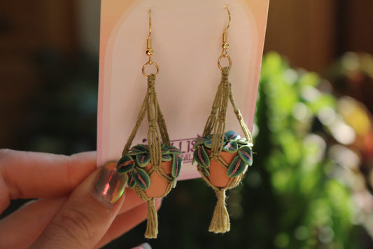 Prayer Plants With Simple Macrame Hangers