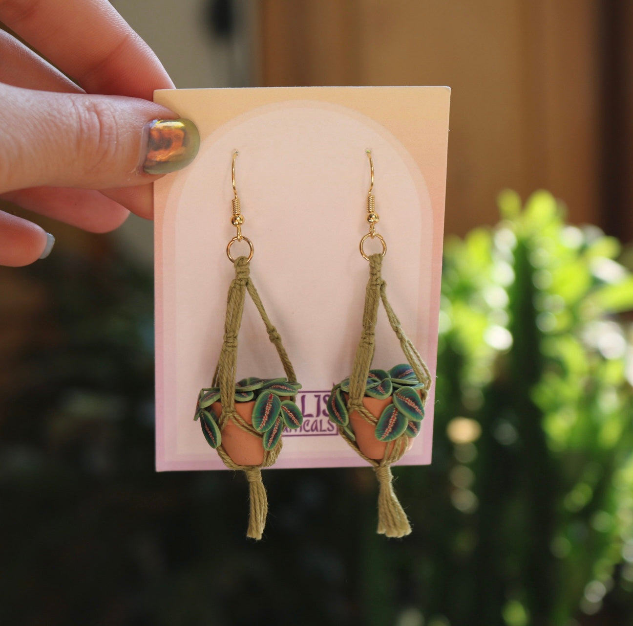 Prayer Plants With Simple Macrame Hangers