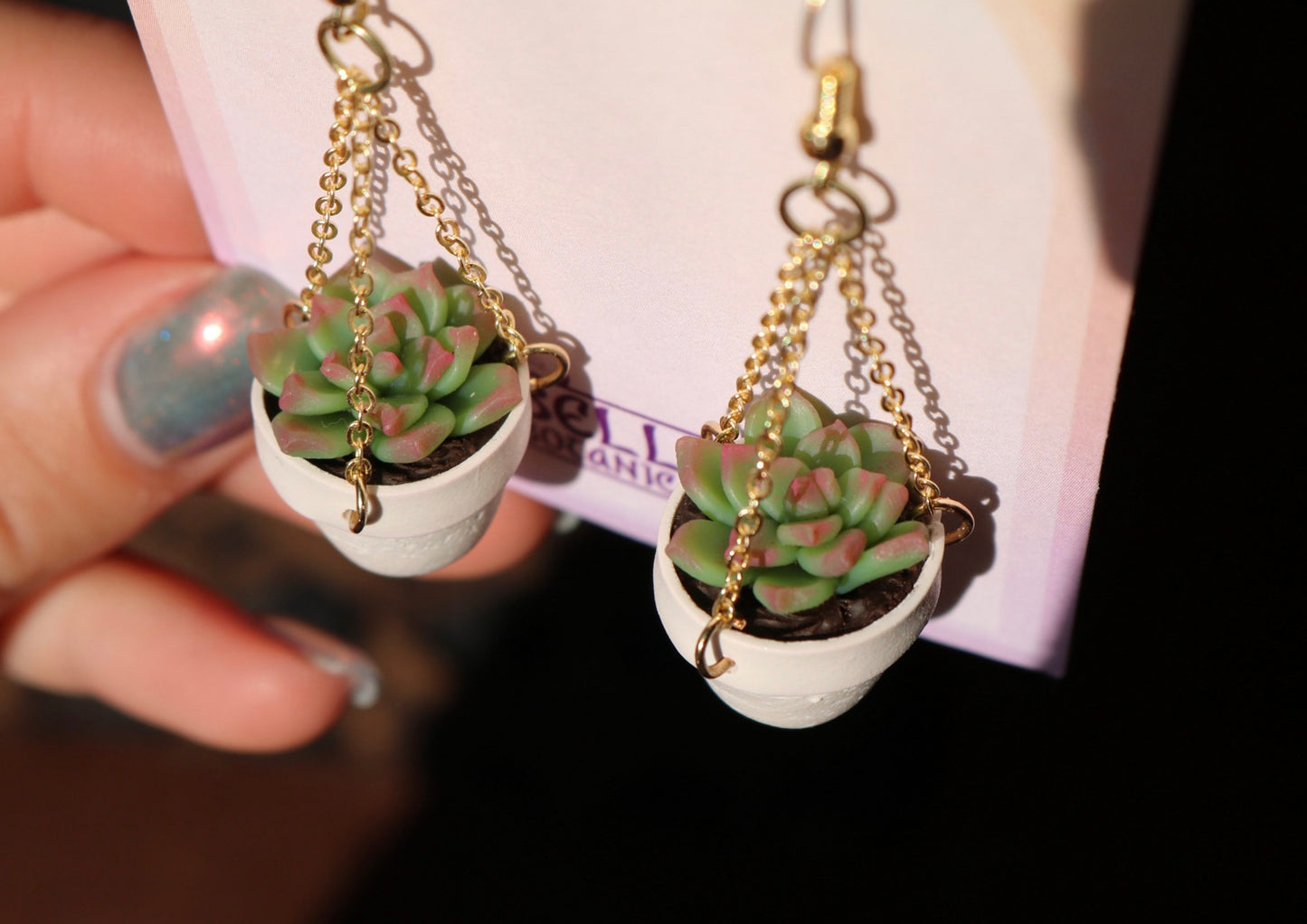 Succulents With Chain Hangers