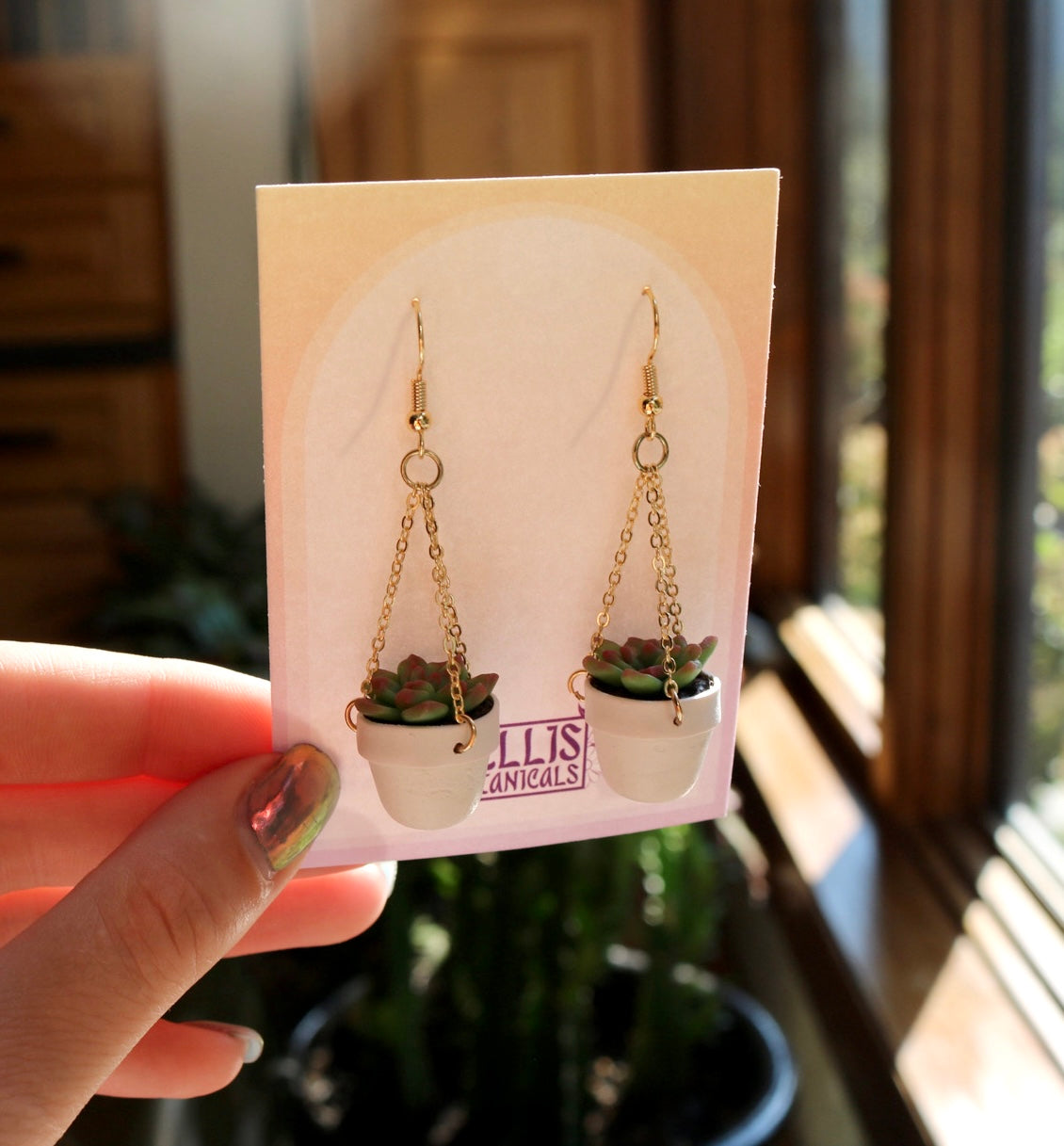 Succulents With Chain Hangers