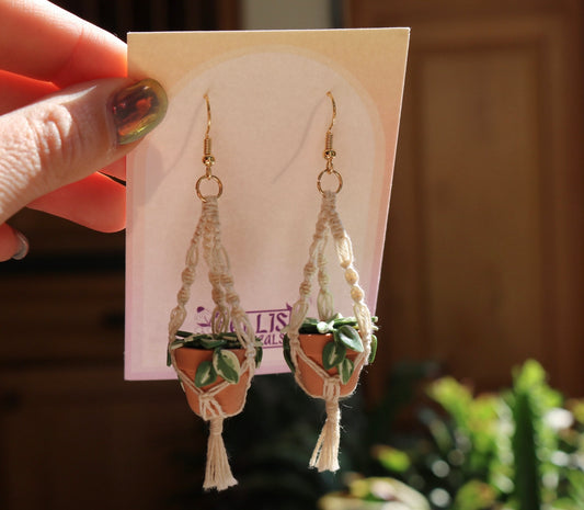 N'Joy Pothos With Spiral Macrame Hangers