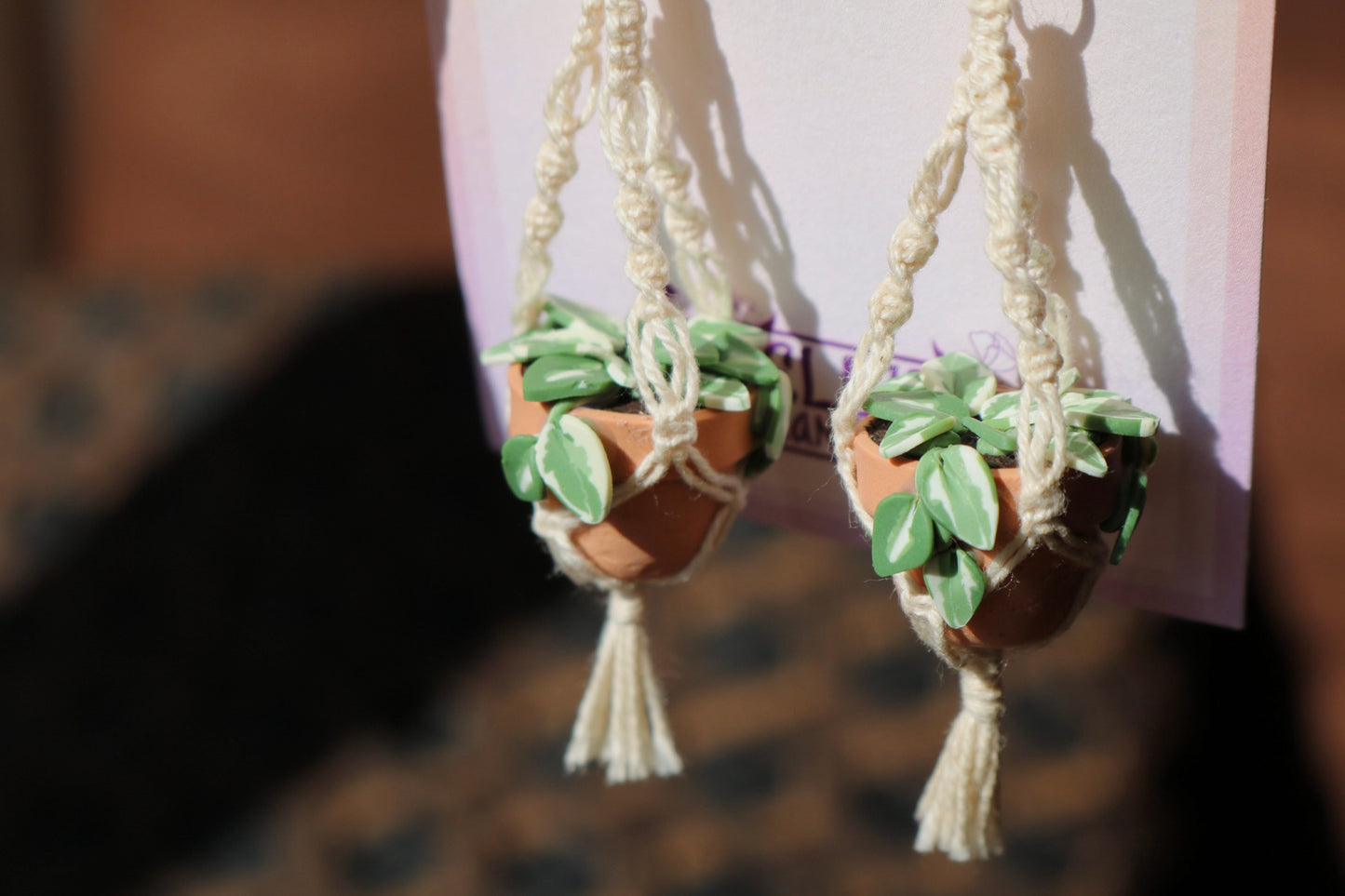 N'Joy Pothos With Spiral Macrame Hangers
