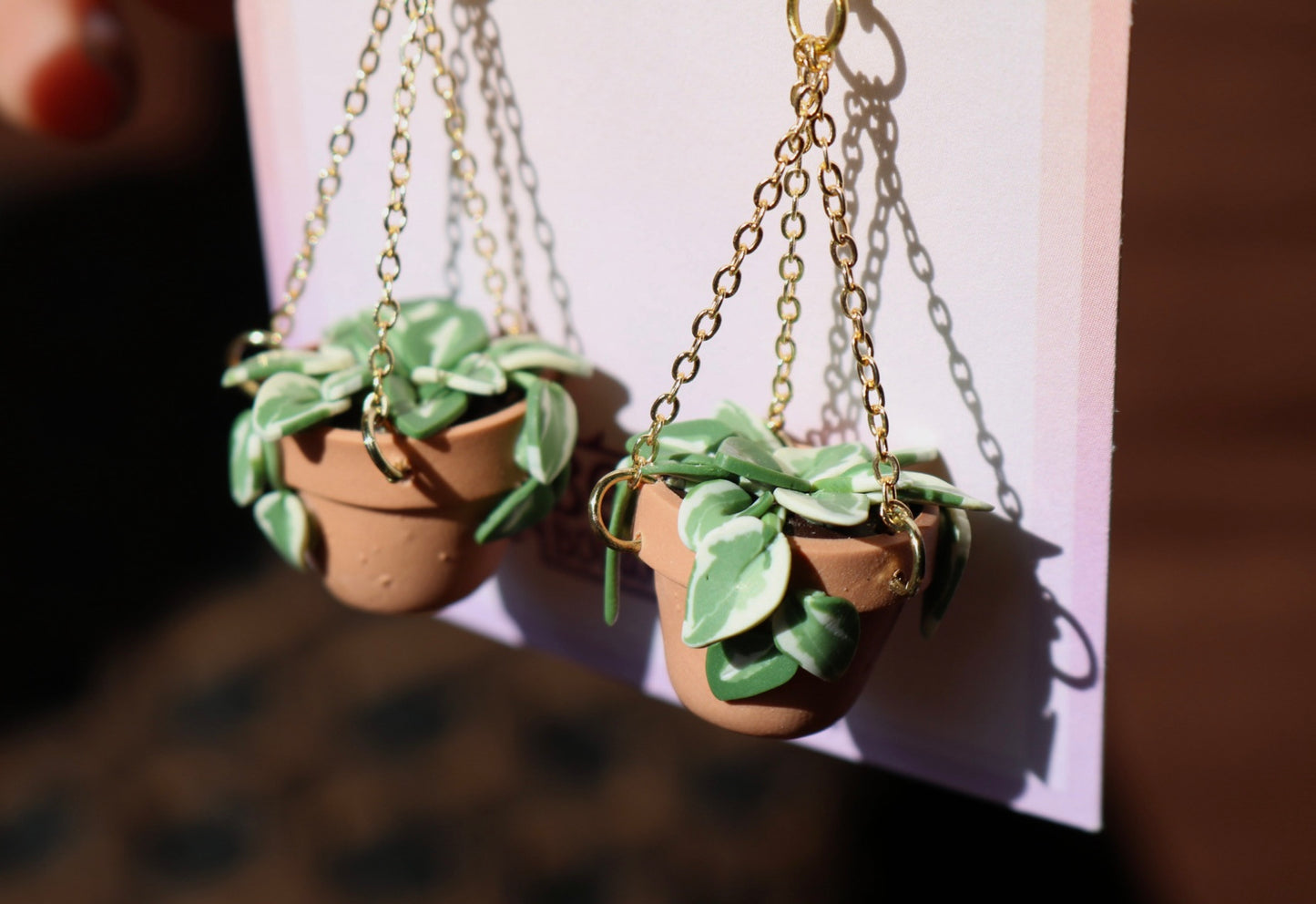 N'Joy Pothos With Chain Hangers