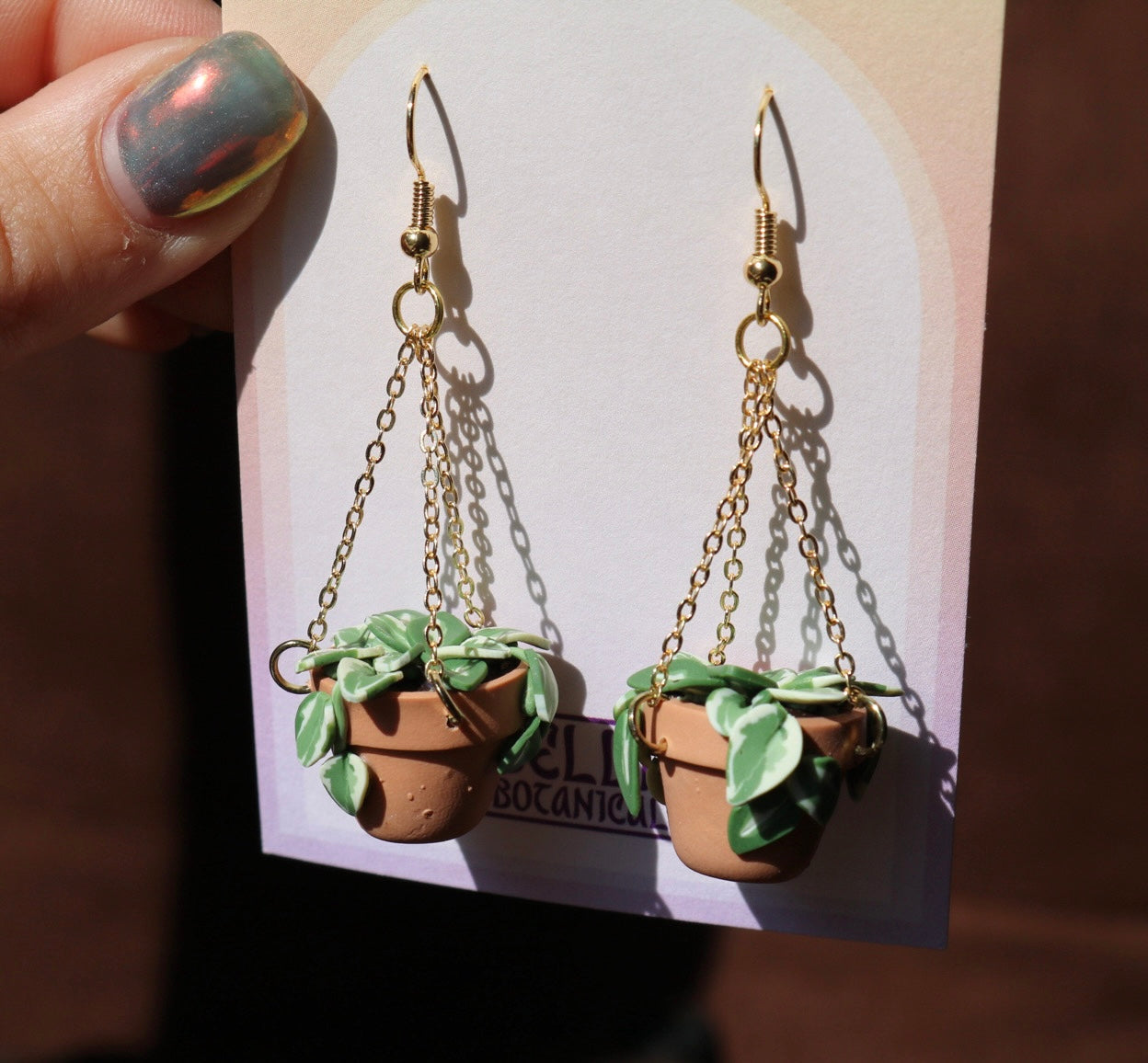 N'Joy Pothos With Chain Hangers