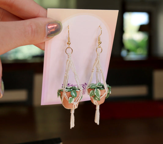 N'joy Pothos With Simple Macrame Hangers