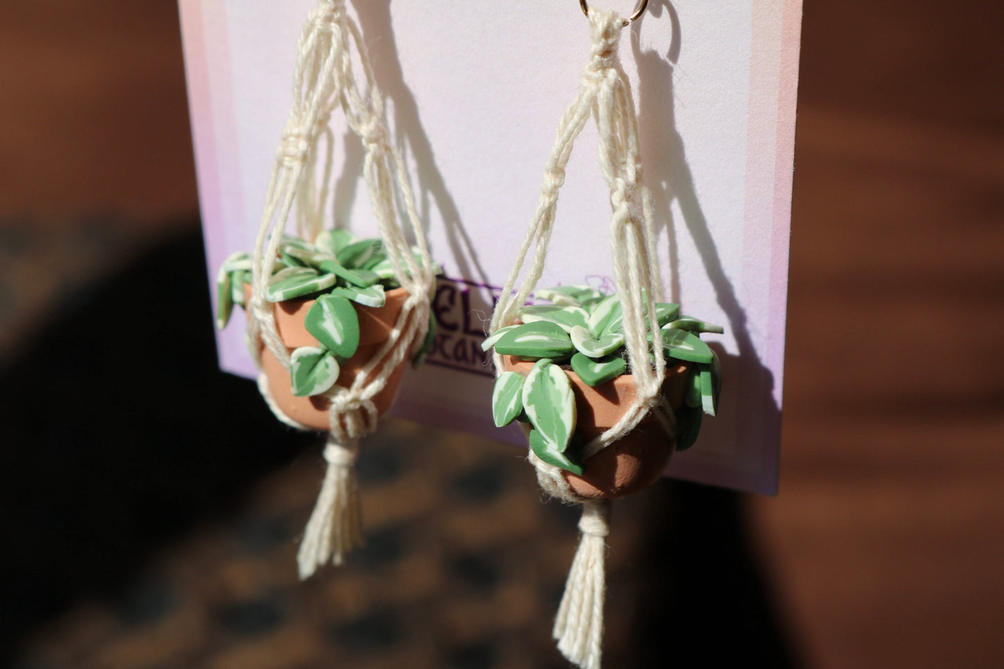 N'joy Pothos With Simple Macrame Hangers