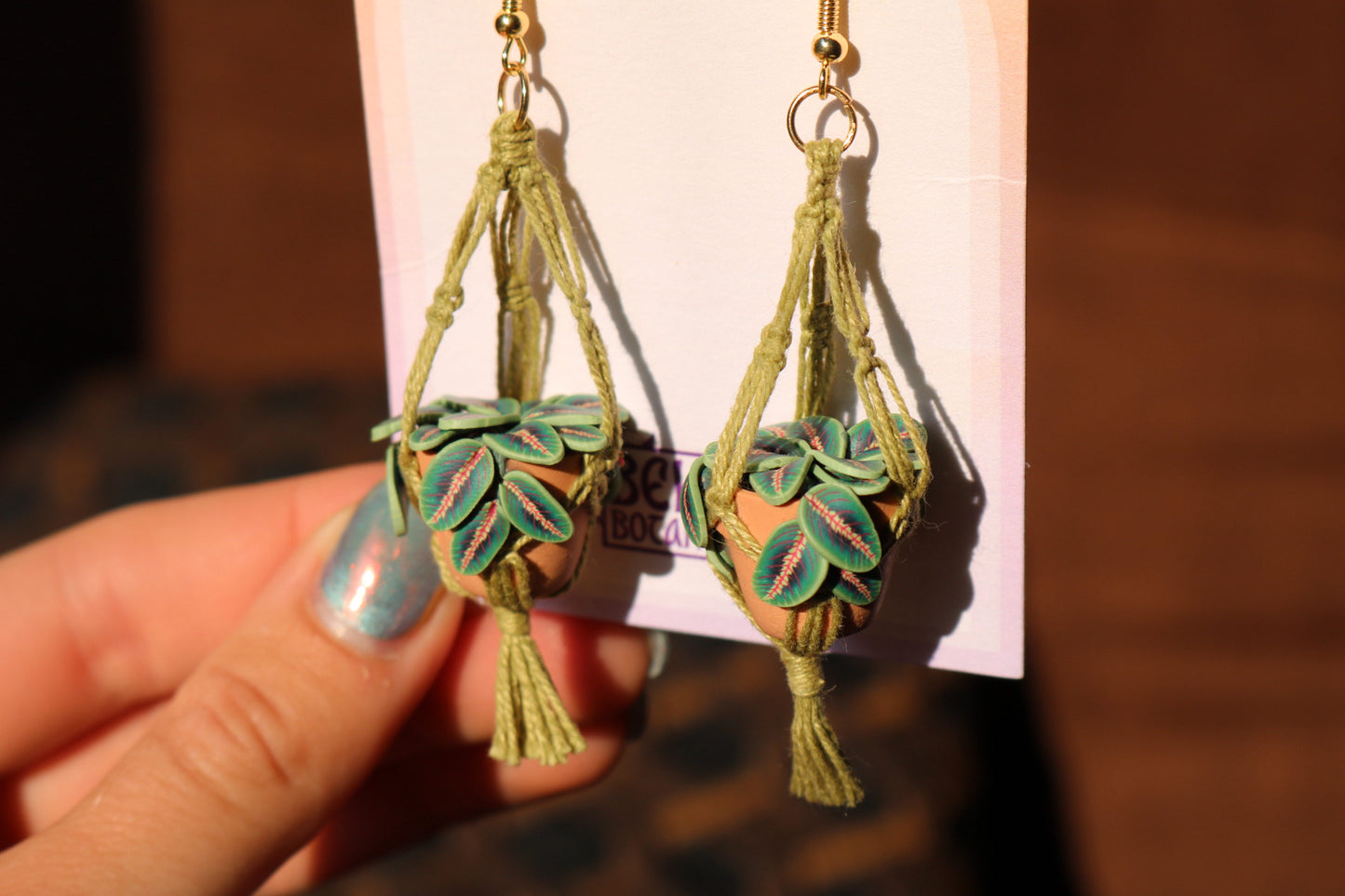 Prayer Plants With Simple Macrame Hangers