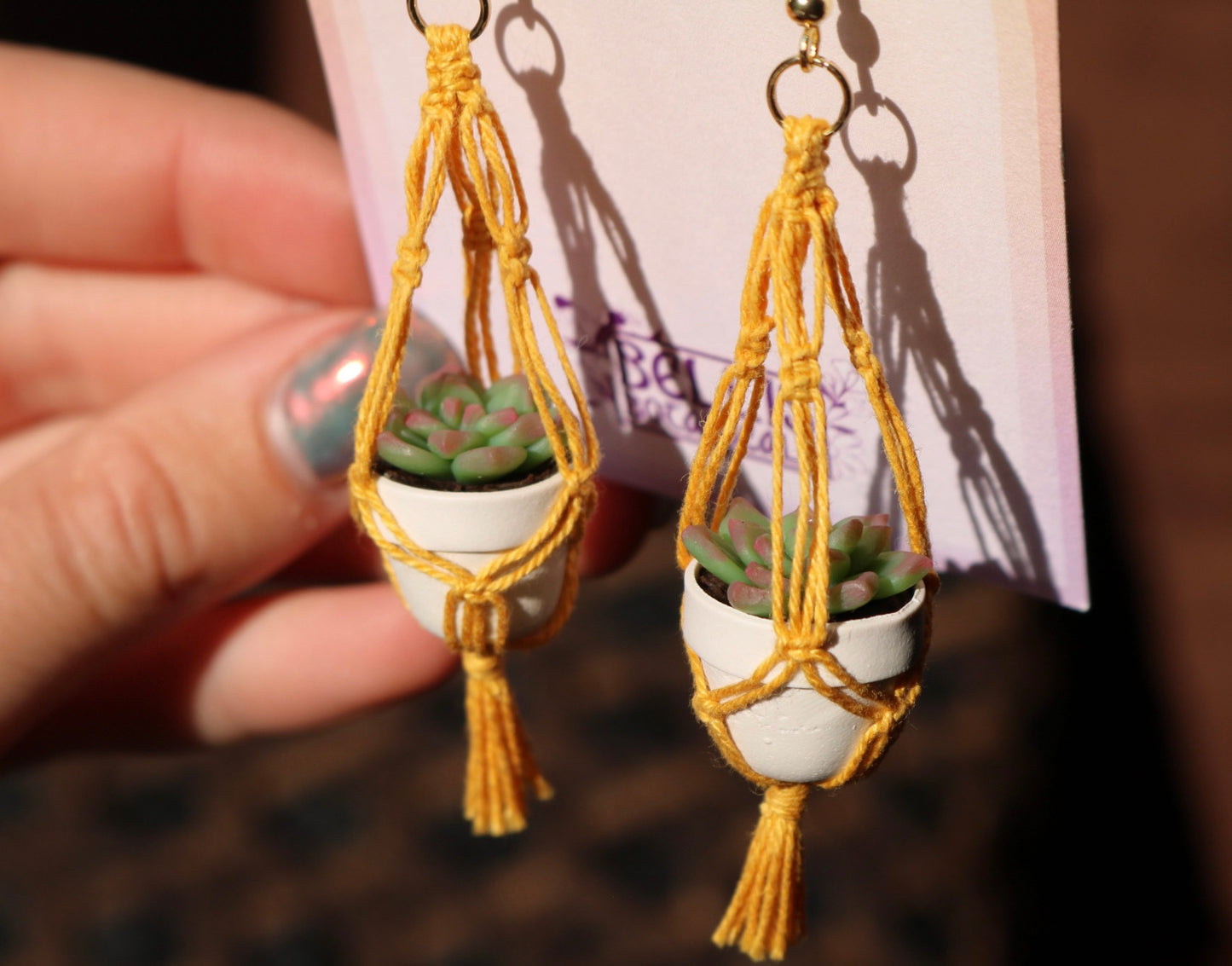 Succulents With Simple Macrame Hangers