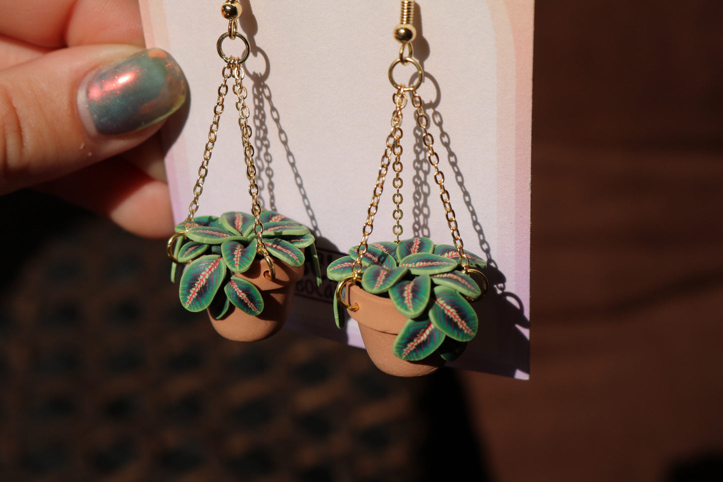 Prayer Plants With Chain Hangers