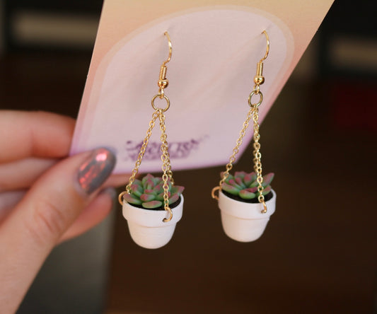 Succulents With Chain Hangers
