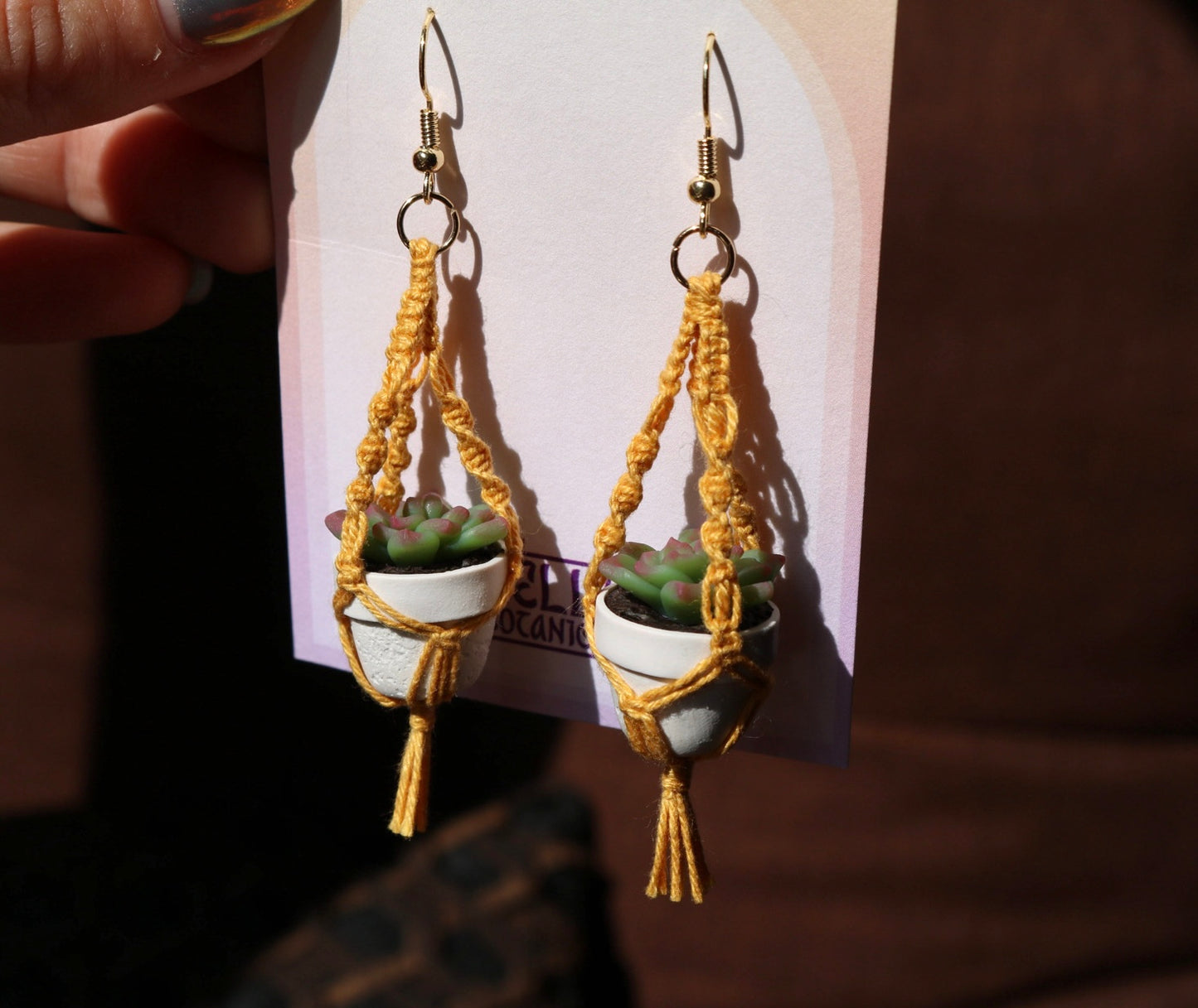 Succulents With Spiral Macrame Hangers