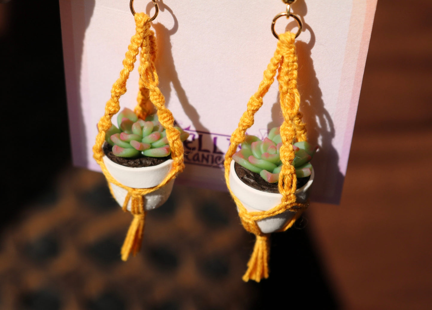 Succulents With Spiral Macrame Hangers