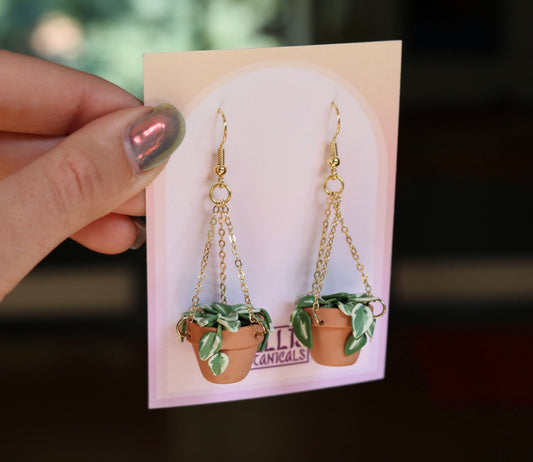 N'Joy Pothos With Chain Hangers